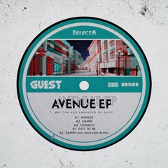 Guest - Damm (Not Brothers Remix)
