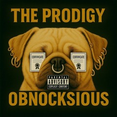 🎶Bangerz 'N' Mashup🎶