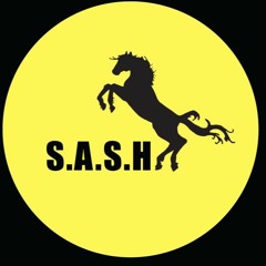 Live at S.A.S.H.