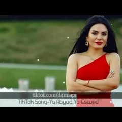 Arapça Şarkı - Ya Abyad Ya Eswed (TikTok) Remix كايروكي - يا أبيض يا أسود Cairokee DAMLA P (1)