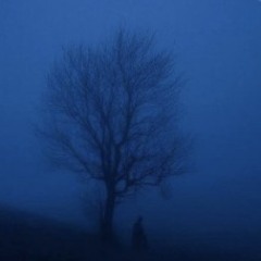 нити свободы