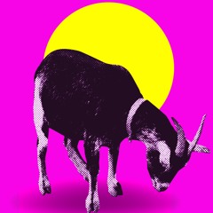 Danse Bizarre (Original mix) Free DL.