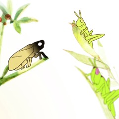 Insekten - Animation Unplugged