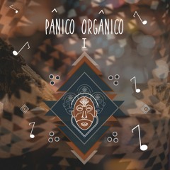 Panico Organico at Vox Club 1