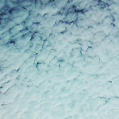 Shiloh - chilled vibes
