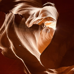 Last Night’s Insomnia