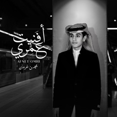 أفنيت عمري