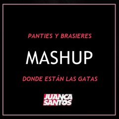 PANTIES Y BRASIERES X DONDE ESTAN LAS GATAS (JUANCA SANTOS MASHUP)