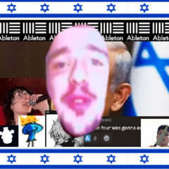 the time i was reincarinated as an idf soldier