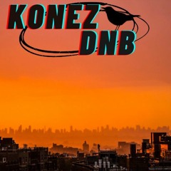 KonezDnB - Shelling The Heat