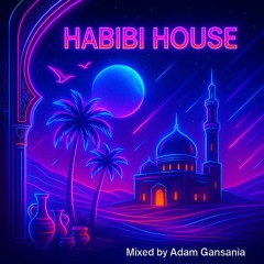 Habibi House Mix