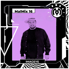 MalMix 16: Chaos Is a Ladder - Imageye