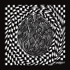 Melolontha - Ben Benito S.