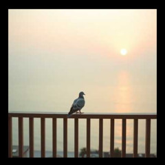 I am willing to wait true love is patien