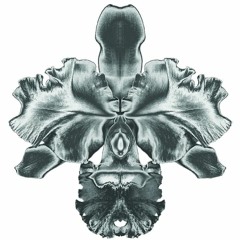 Efectiv (Esente)