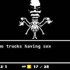 Spider's Paradise
