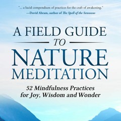 59- Chapter Forty Nine Meditating In Summer On Abundance