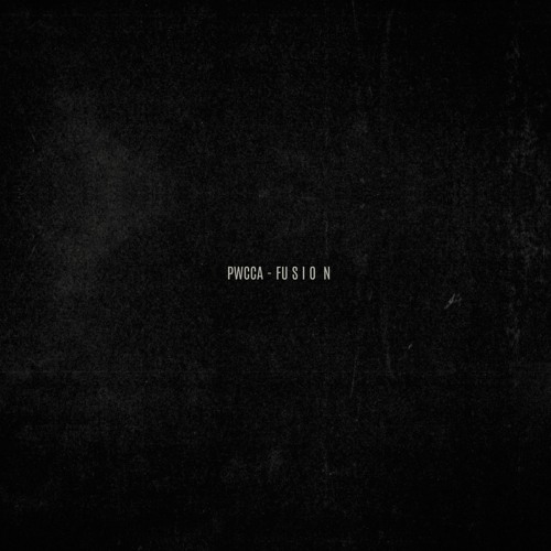 PWCCA - Fusion (Dj Set 4/11/2020)