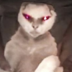 Doctor George Washington Diss