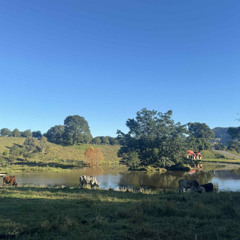 Saci Suta Das at New Govardhan - 9 June 2025