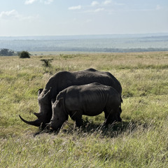 You’re the True Shepherd - Kenya 2024