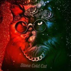 Stone Cold Cat