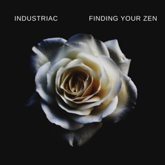Finding Your Zen (prod. tennisplayer X Miler)