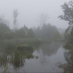 no name  (ft. WXRKET)