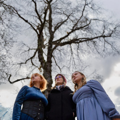 Only Stillness (Release Date 14.11.2025)