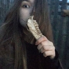 dallas [williambraun]