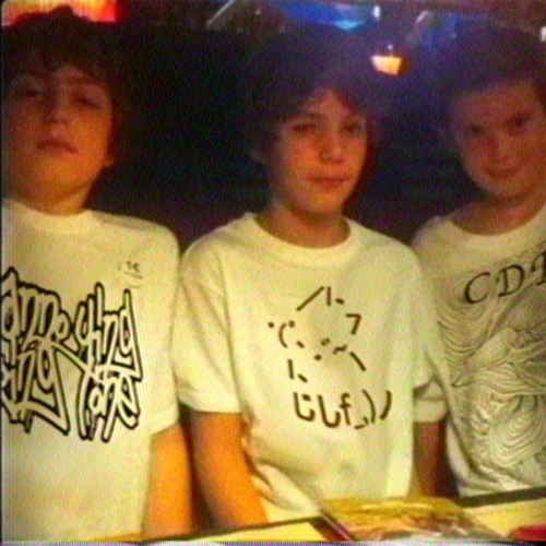 skunked - raised by the world wide web (crustsox cover) (Uebok remix)