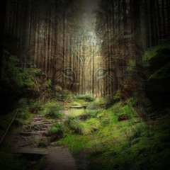The Syncretist - Gatekeeper (Wise Tree Remix)