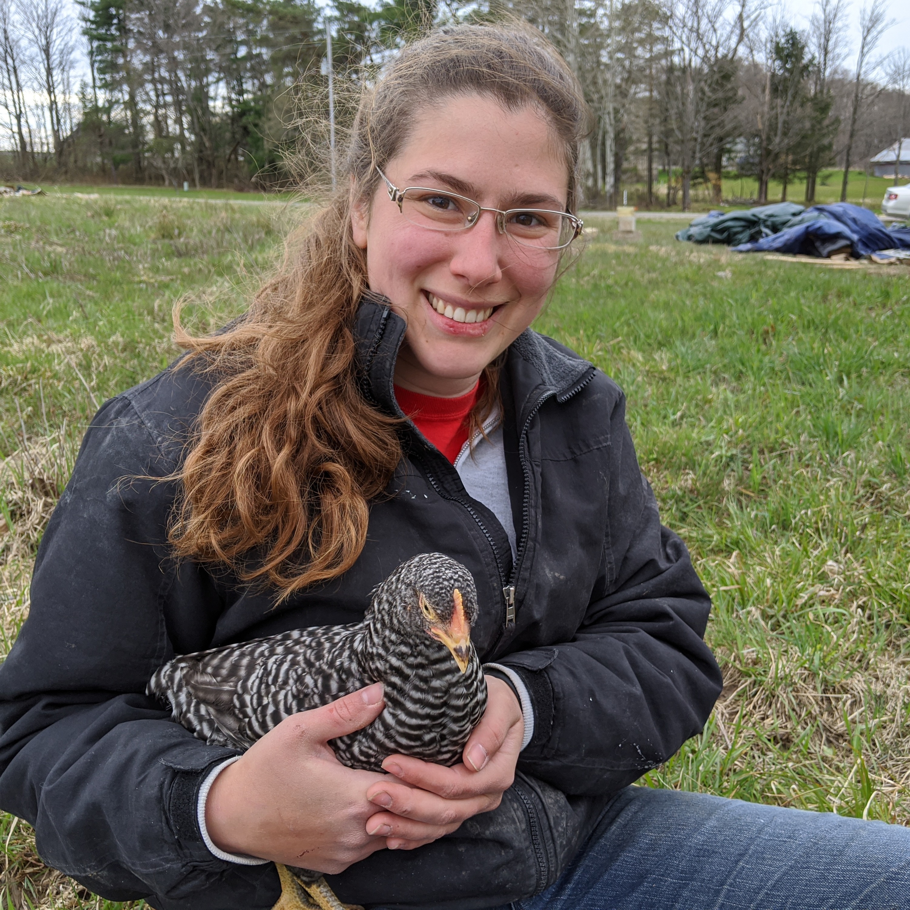 Poultry in peril: CCE experts discuss avian influenza, backyard chickens and biosecurity. episode artwork