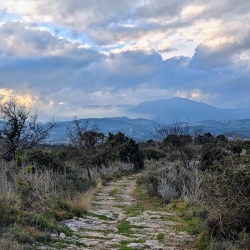 Ideas come from other