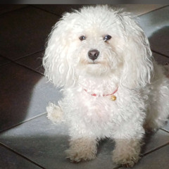 Straning @K-Street 070924