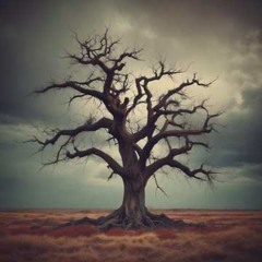 Worn From All the Fighting