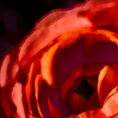 To the Ground (feat. Facade)