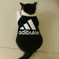 gia vị tình iu