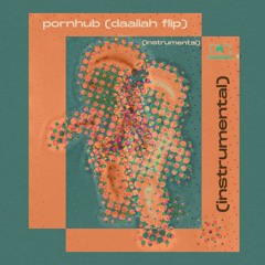 pornhub (daaliah flip) (instrumental)