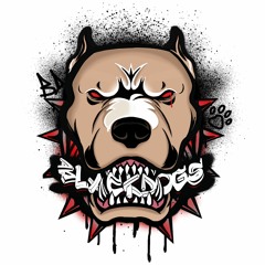 LSBD (Prod. by Glizzy)(NoPixel RP Black Dogs anthem) - VD