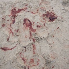 blood on the sand