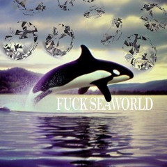 Rich Cholo - Fuck SeaWorld