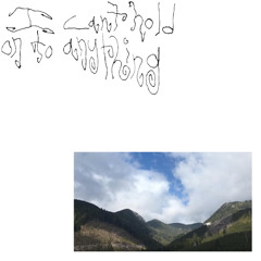 avoidance