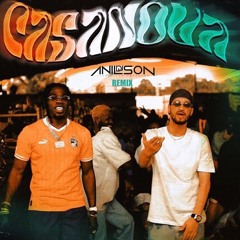 EXTRAIT Dj Anilson - Casanova (Soolking ft Gazo) Remix Afro