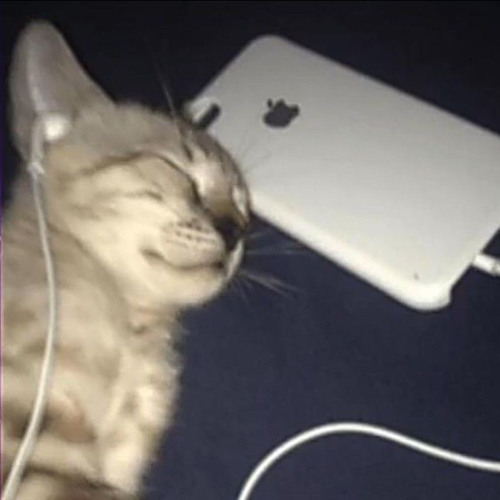 LUX