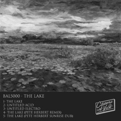PREMIERE : Bal5000 - The Lake (Pete Herbert Remix)