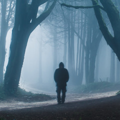 Mistery Forest
