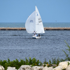 White Sails and Island Girls