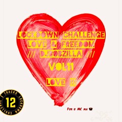 Lockdown Challenge #11 /// Love & Freedom /// DjBobzilla /// Love !!!