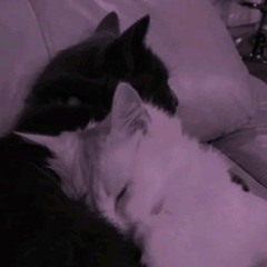 LOS 2 (R&B version) W/Kizek